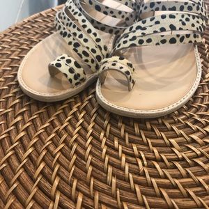 Dolce Vita Shoes - Dolce vita sandals worn twice calf hair leopard Dolce Vita Shoes - Dolce vita sandals worn twice calf hair leopard